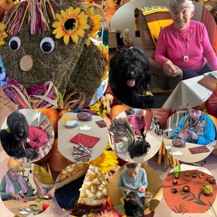 Bild kann nicht geladen werden.